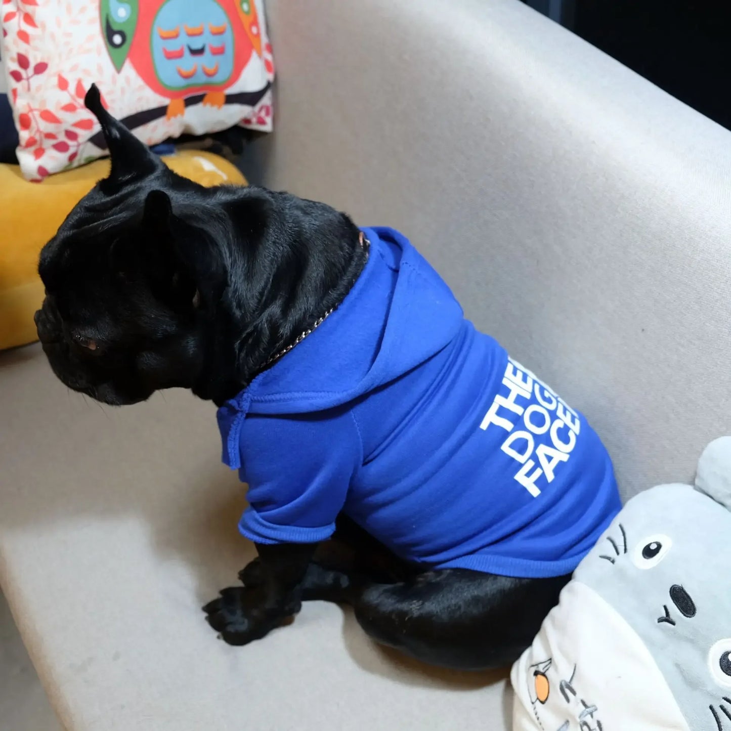 Pet Dog Hoodies Autumn and Winter